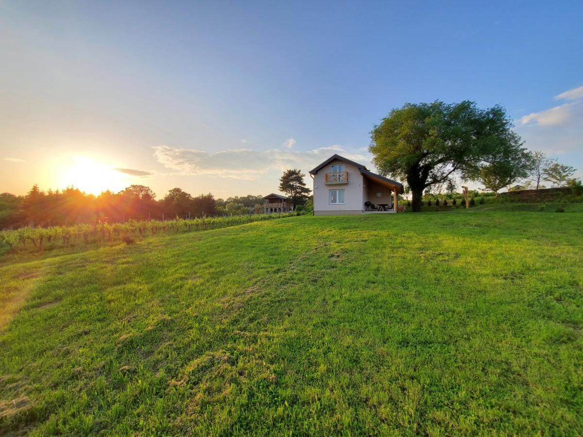 Holiday Home Vinovilla Kutjevo Eksteriør billede